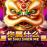 RTP joker campslot138